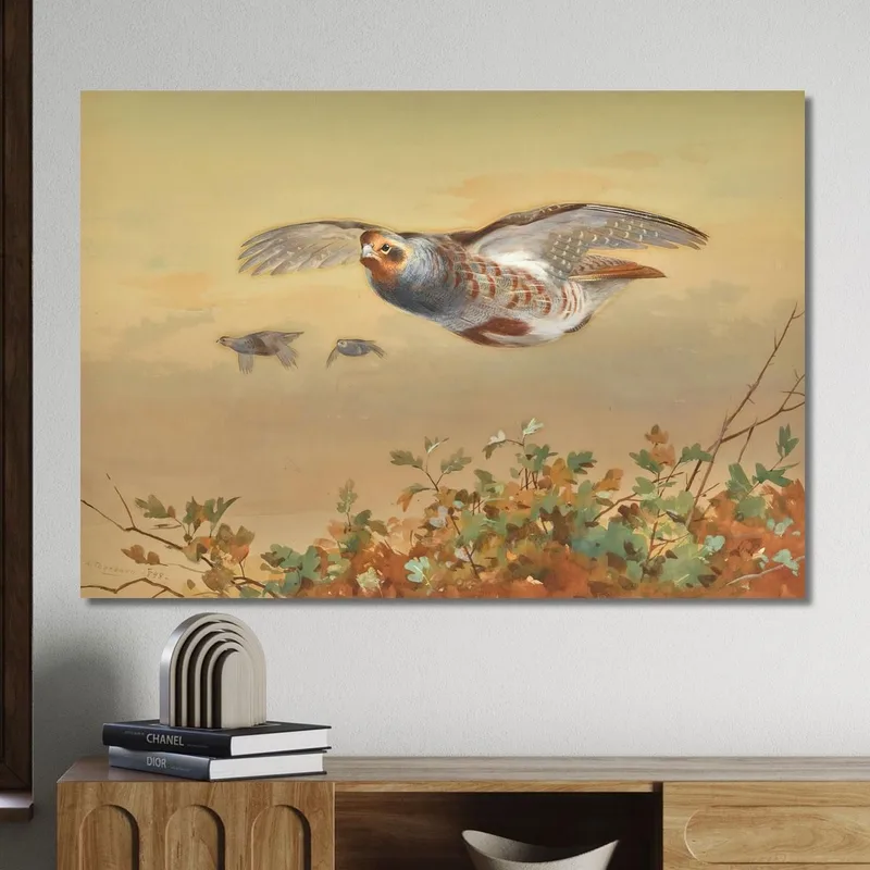 Rebhuhn Im Flug Archibald Thorburn