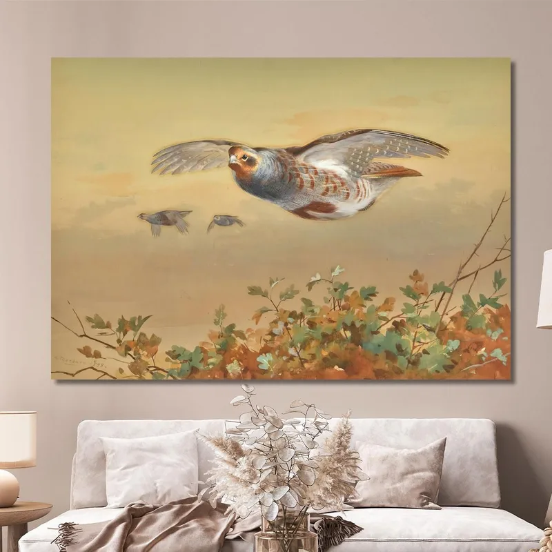 Rebhuhn Im Flug Archibald Thorburn