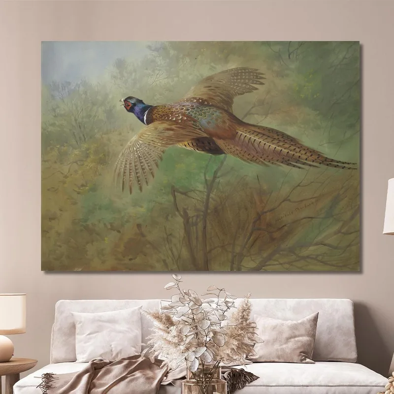 Pheasant In Flight Archibald Thorburn