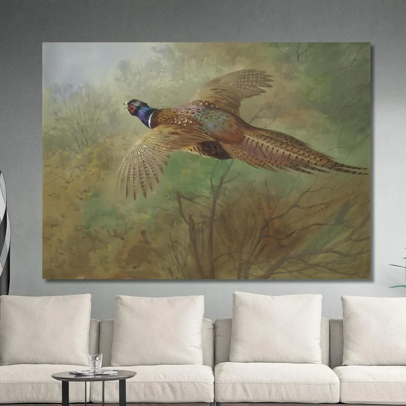 Pheasant In Flight Archibald Thorburn