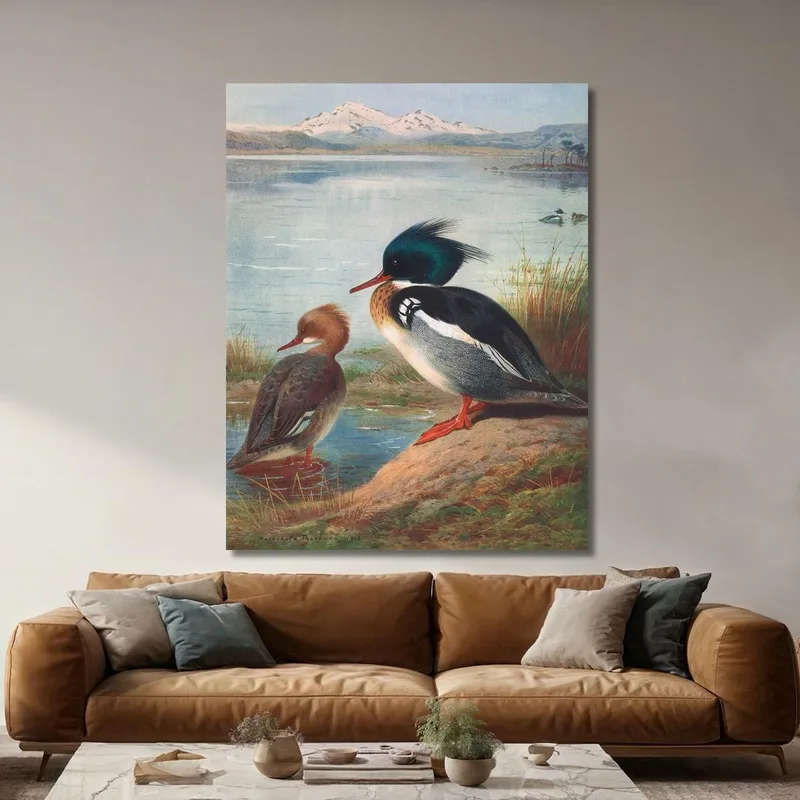 Red-Breasted Merganser Archibald Thorburn