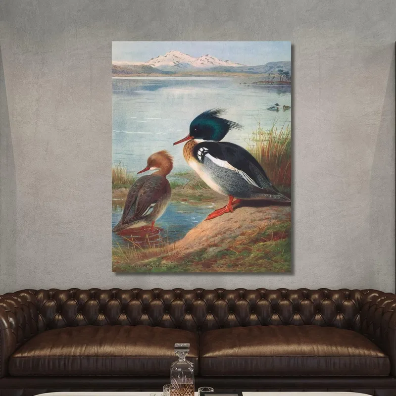 Red-Breasted Merganser Archibald Thorburn