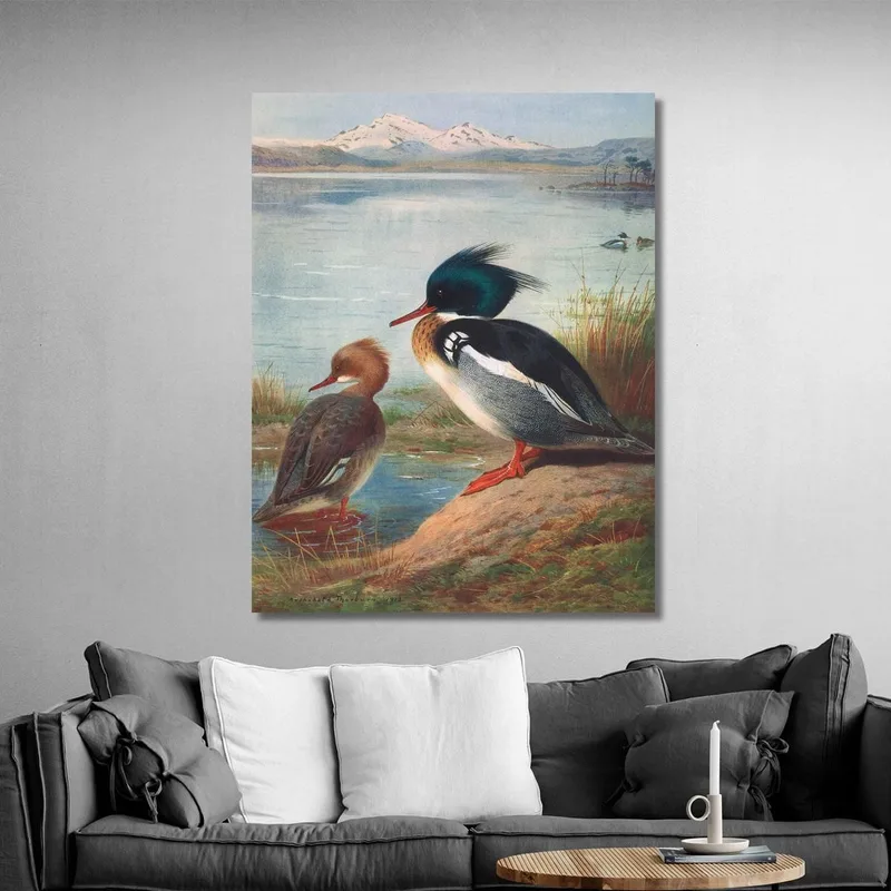 Red-Breasted Merganser Archibald Thorburn