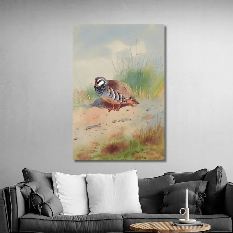 Pernice Zamperosse Archibald Thorburn