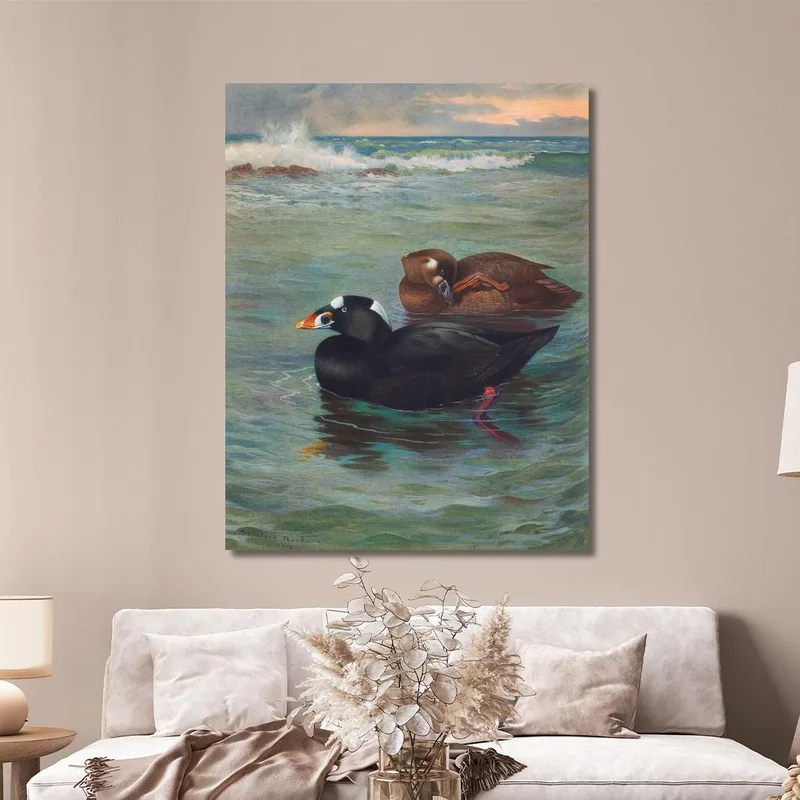 Surf-Scoter Archibald Thorburn