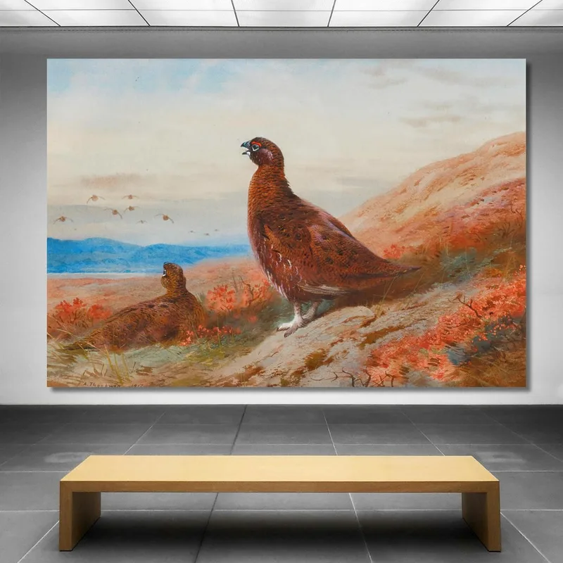 The Challenge Archibald Thorburn