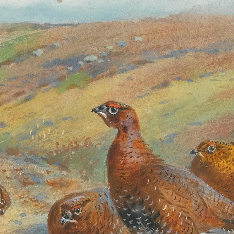 The Old Drove Road Archibald Thorburn