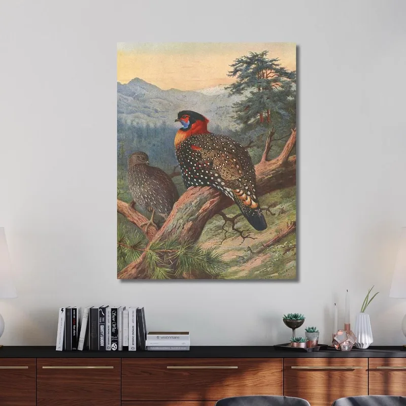 Tragopán Occidental Archibald Thorburn