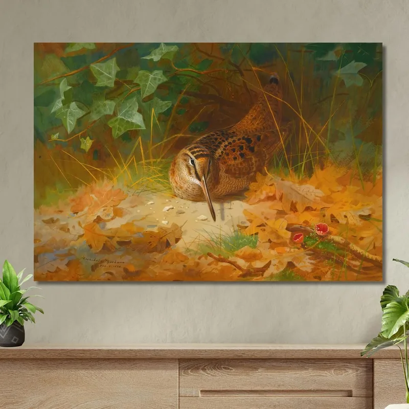 Bécasse Archibald Thorburn