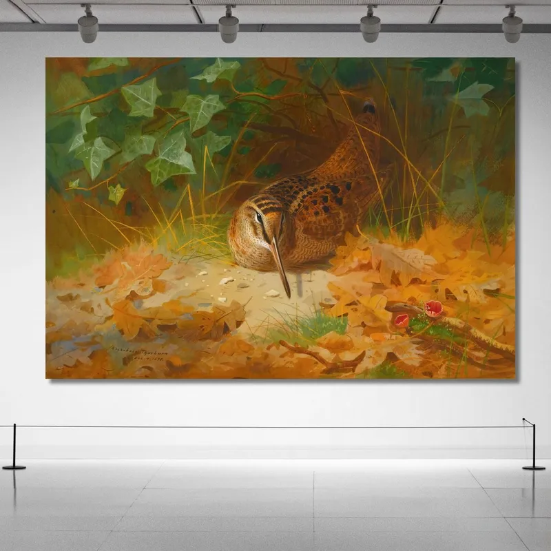 Bécasse Archibald Thorburn
