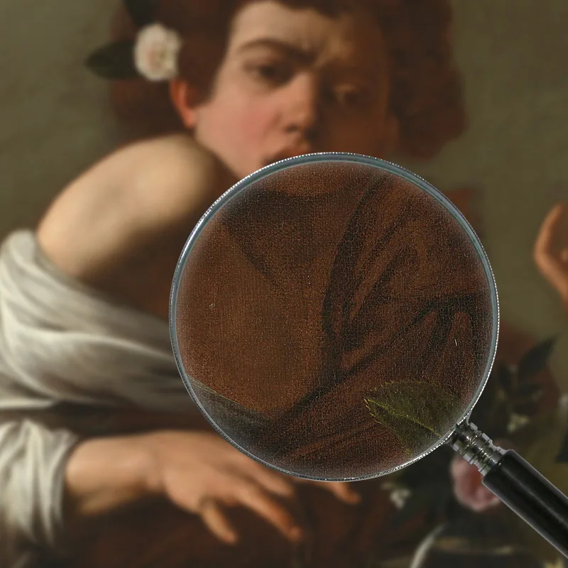 Junge Von Einer Eidechse Gebissen Caravaggio