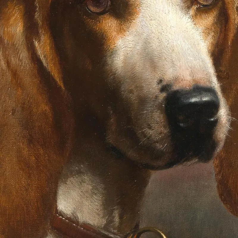 Un Perro De Caza Carl Reichert