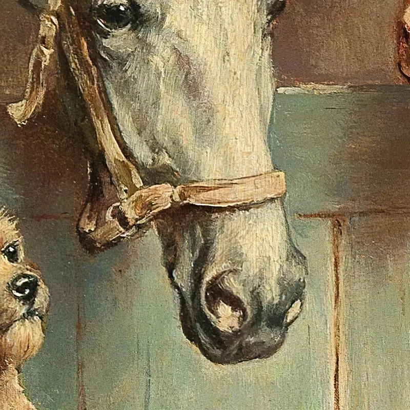 Amicizia Tra Animali Carl Reichert