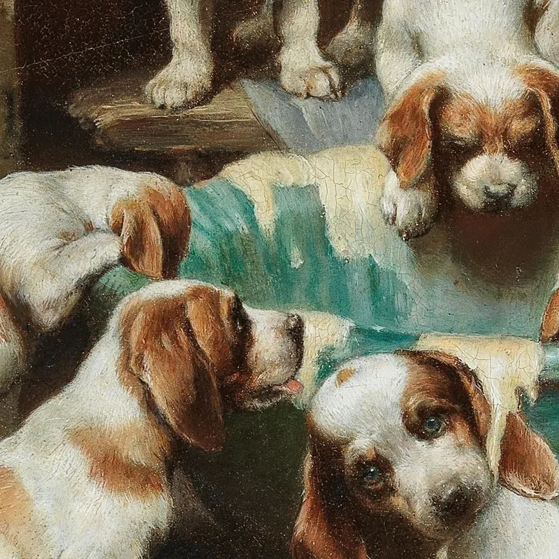 Beagle Puppies Feasting Carl Reichert