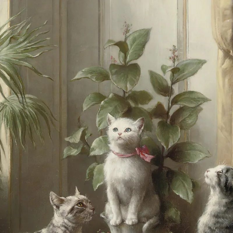 Cats And The Cockatoo Carl Reichert