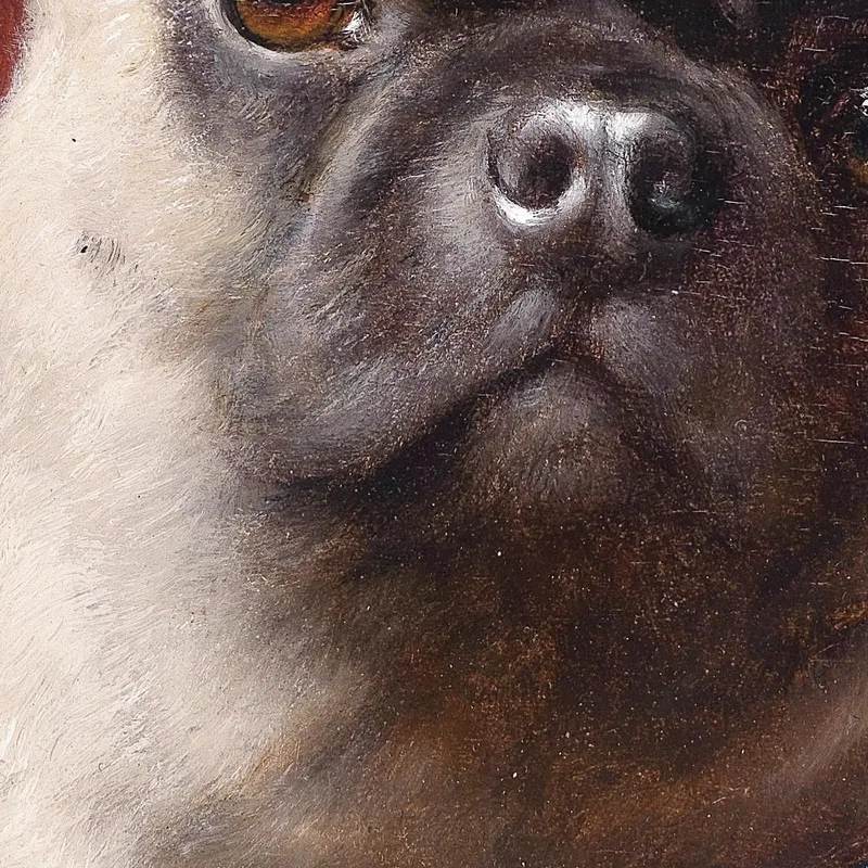 Pug Carl Reichert