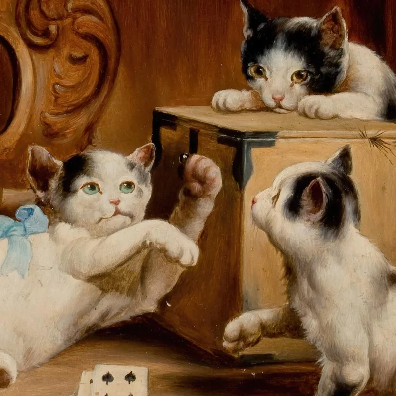 Playing Cards Carl Reichert