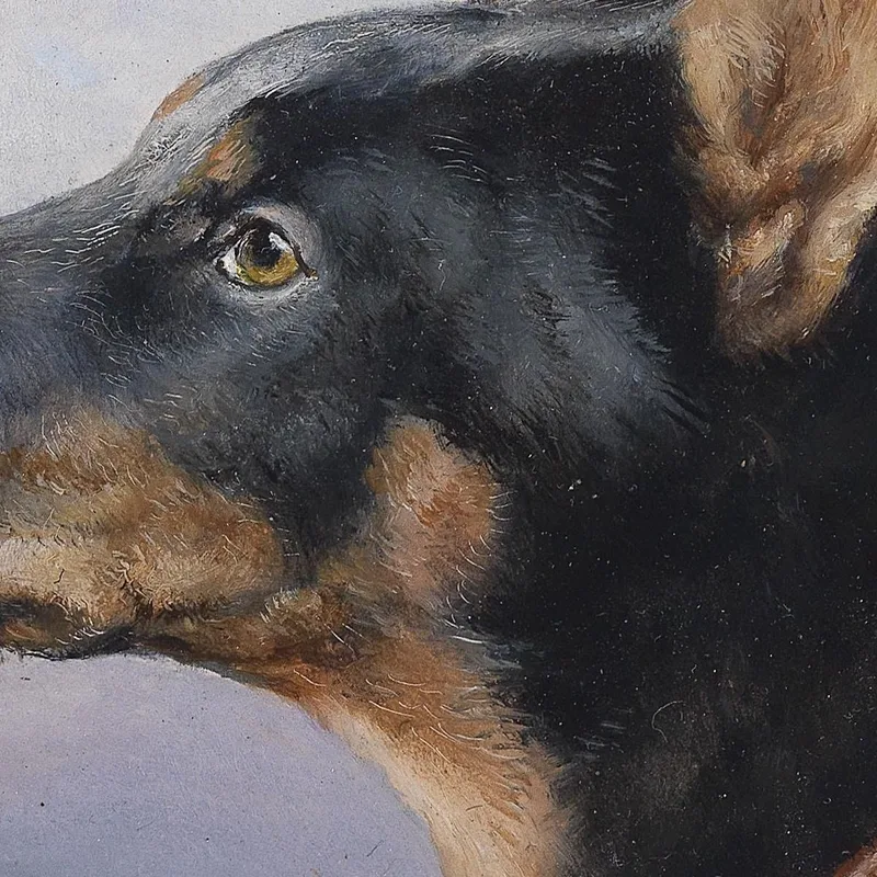 Portrait D'Un Dobermann Carl Reichert