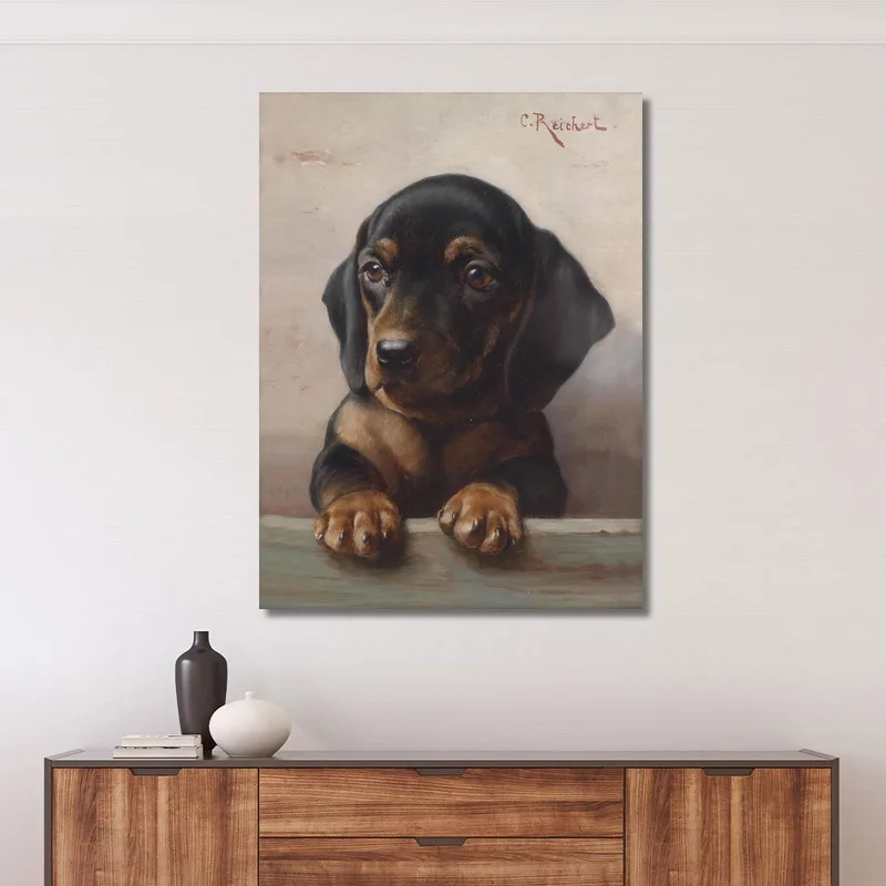 Young Dachshund Carl Reichert