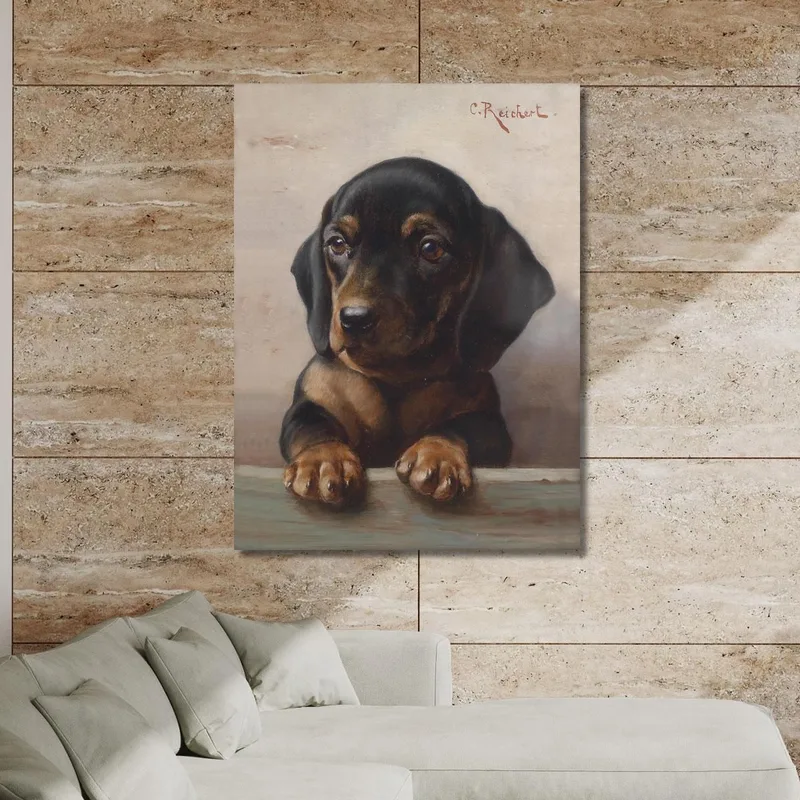 Young Dachshund Carl Reichert