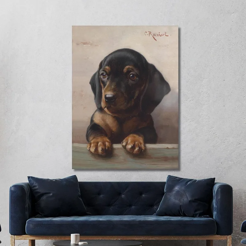 Young Dachshund Carl Reichert