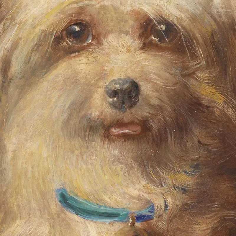 Griffoncino Nano Carl Reichert
