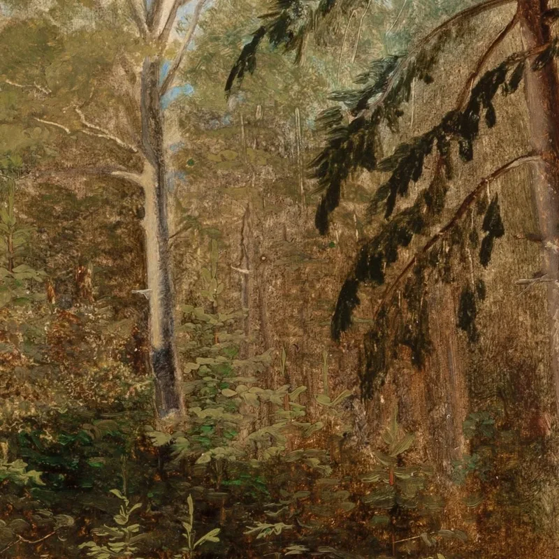 Studie Einer Waldlandschaft Carl Spitzweg
