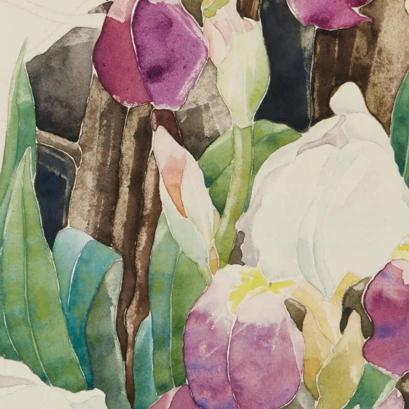 Iris Charles Demuth