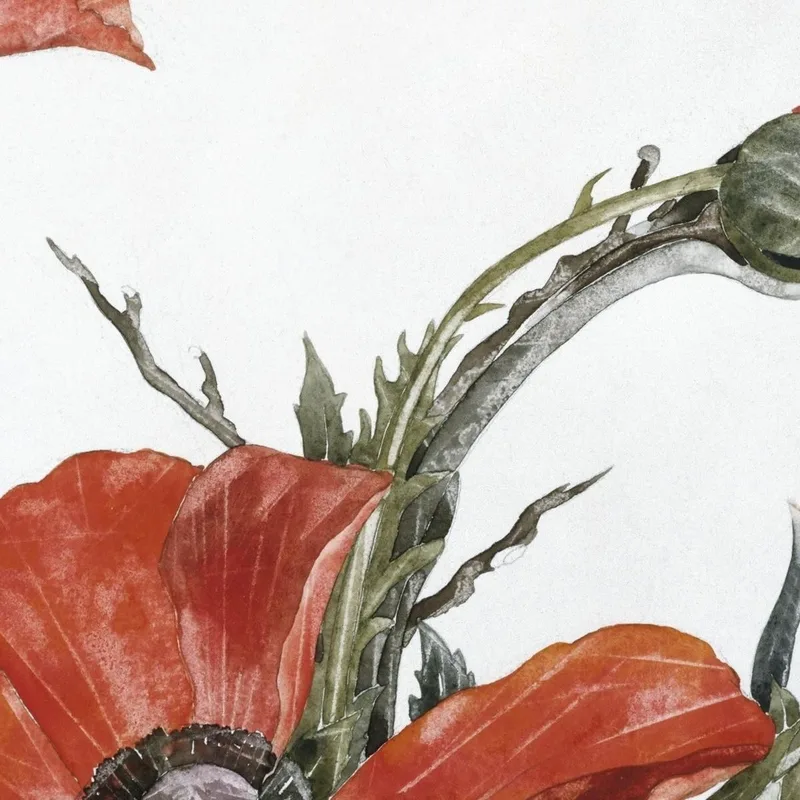 Rote Mohnblumen Charles Demuth