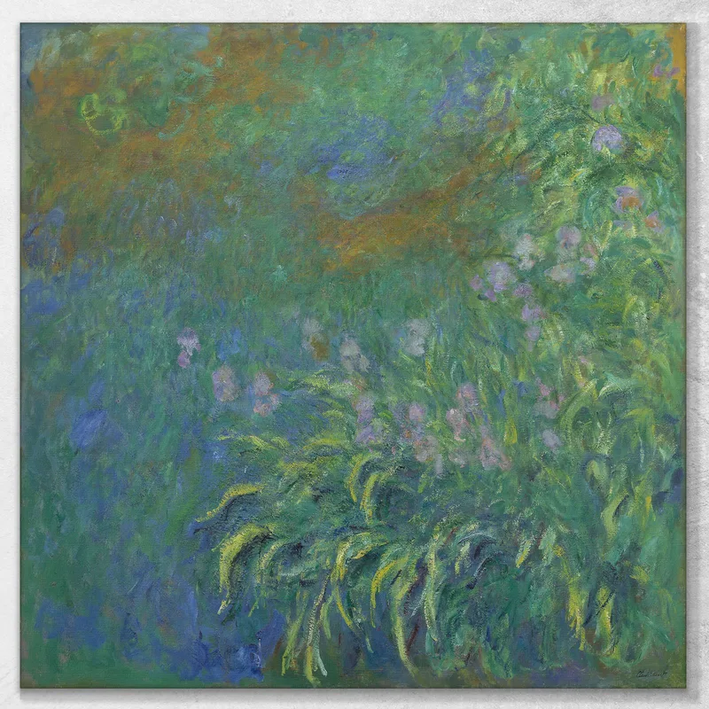 Iris Claude Monet