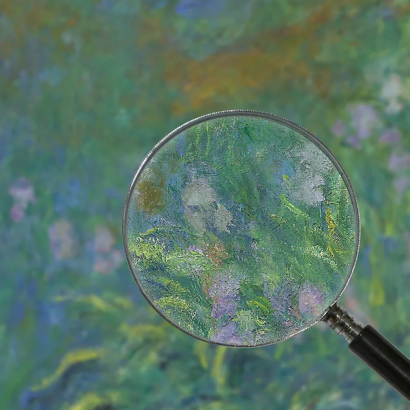 Iris Claude Monet