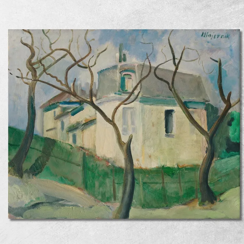 Villa Nel Giardino Cyprián Majerník quadro stampa su tela
