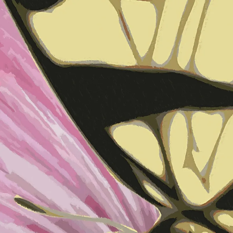 Quadro moderno farfalla su ibisco rosa