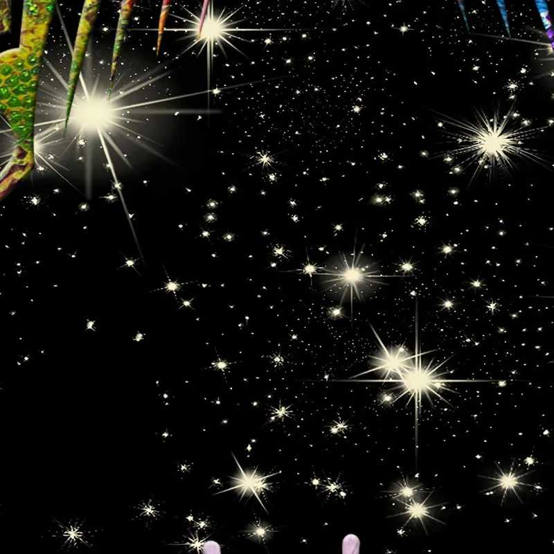 Farfalle Colorate in Notte Stellata stampa su tela