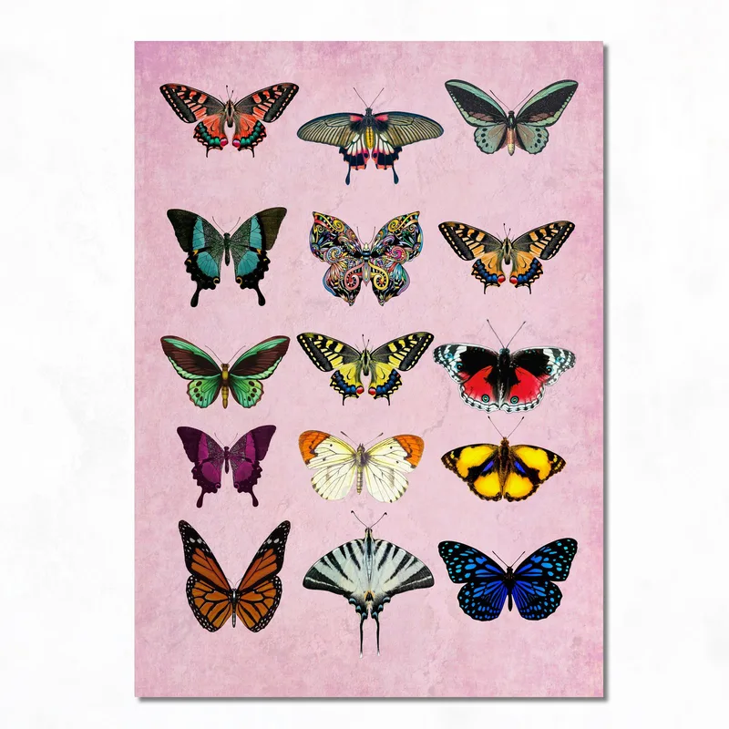 Collezione Farfalle Colorate quadro moderno su tela