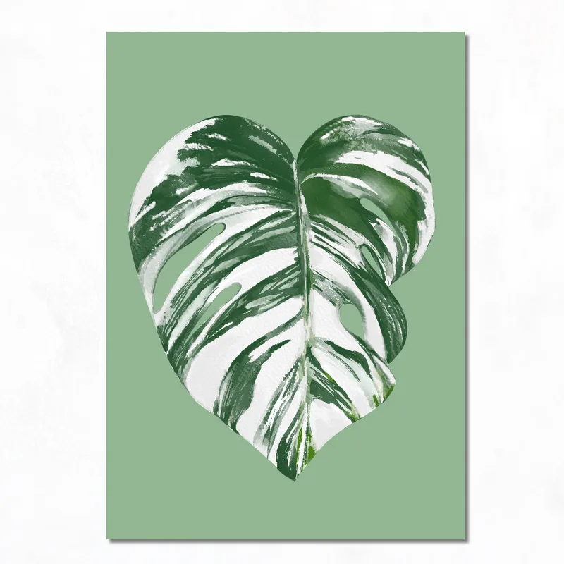 Impresion en lienzo hoja variegada de monstera