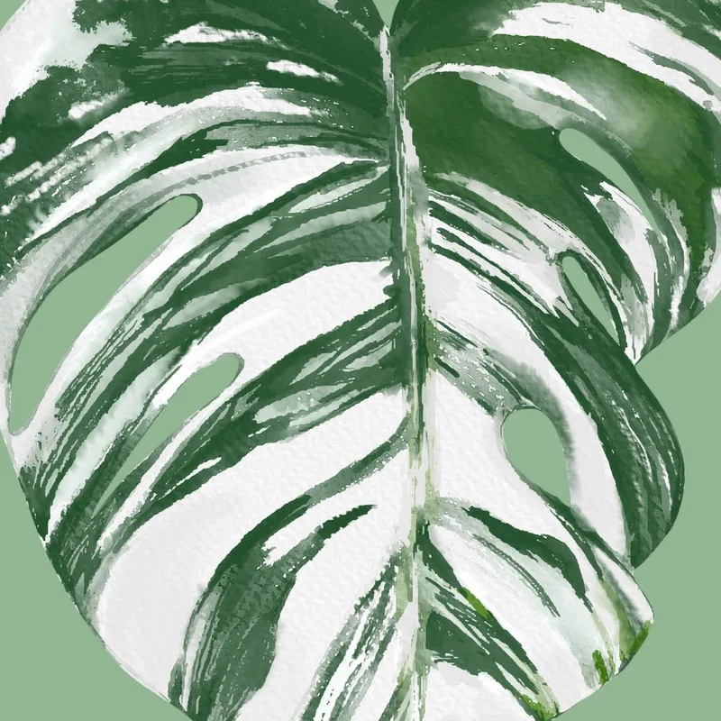 Impresion en lienzo hoja variegada de monstera