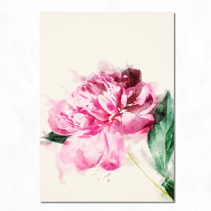 Peonia Rosa Acquerello quadro canvas