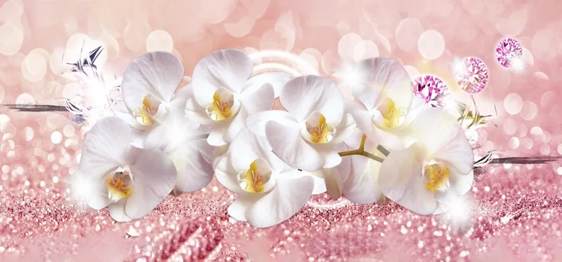 Quadro Botanico Fiori Di Orchidea Bianca Su Sfondo Rosa