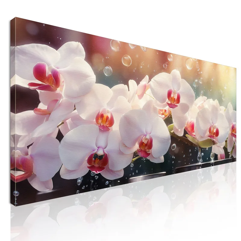 Botanical Painting White And Pink Orchids With Water Drops canvas print