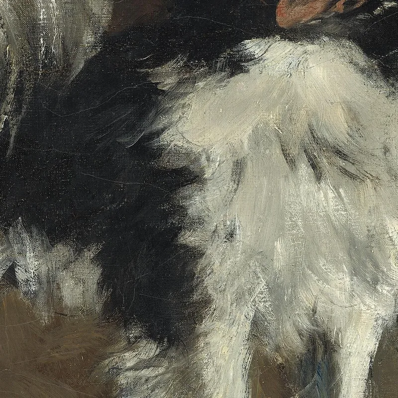 Perro Japonés Tamathe Édouard Manet