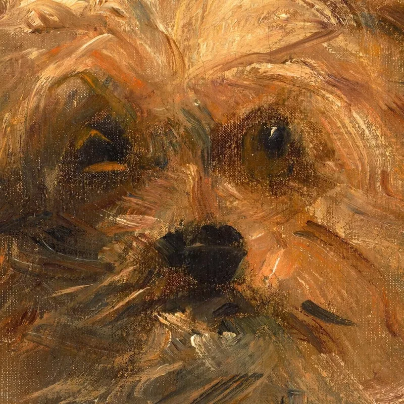 Testa Di Cane Bob Édouard Manet