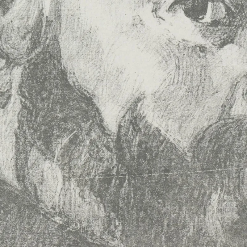 Paolo Cézanne Édouard Vuillard