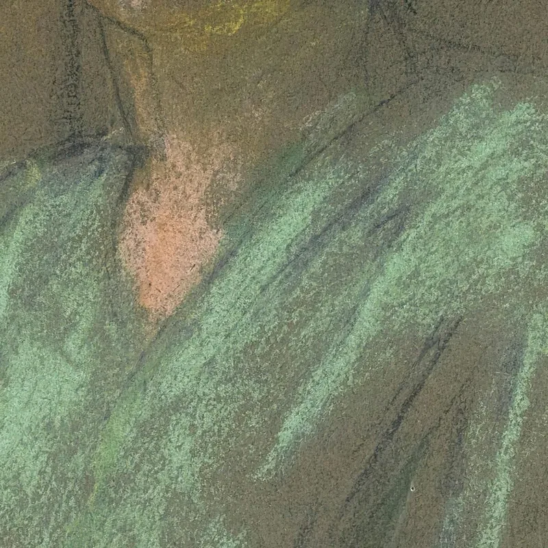 Portrait D'Irène Montanet Édouard Vuillard