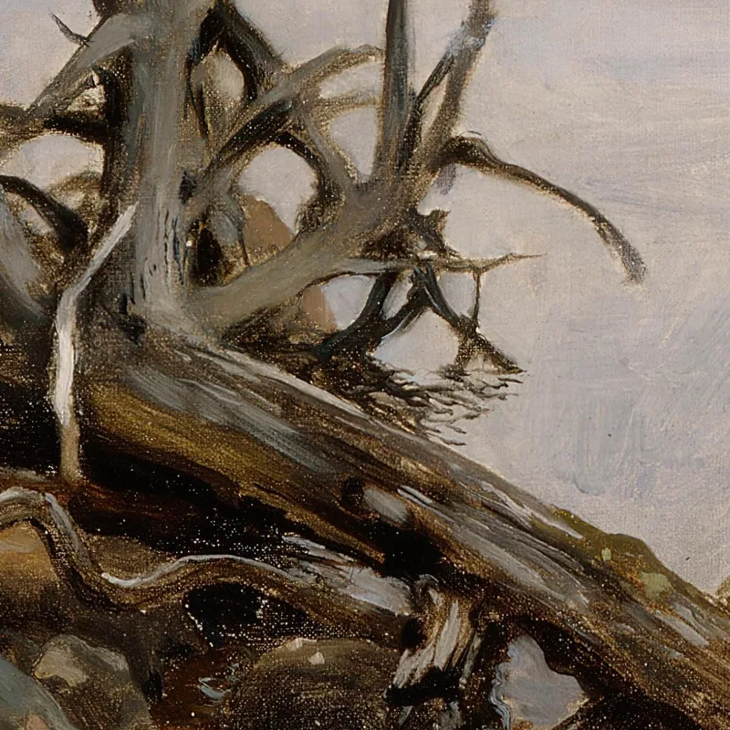 Pino Morto Nell'Acqua Eero Järnefelt