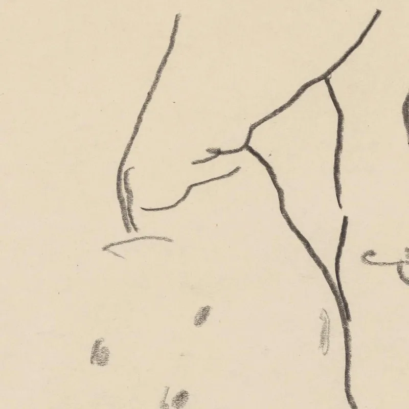 Desnudo Femenino De Espaldas Egon Schiele