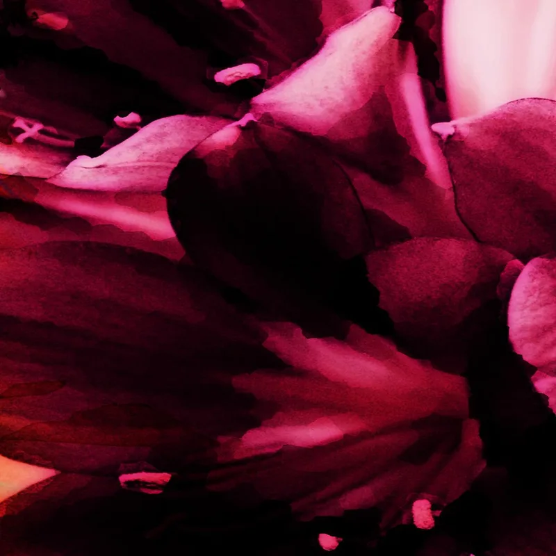 Expression Florale Abstraite tableau sur toile