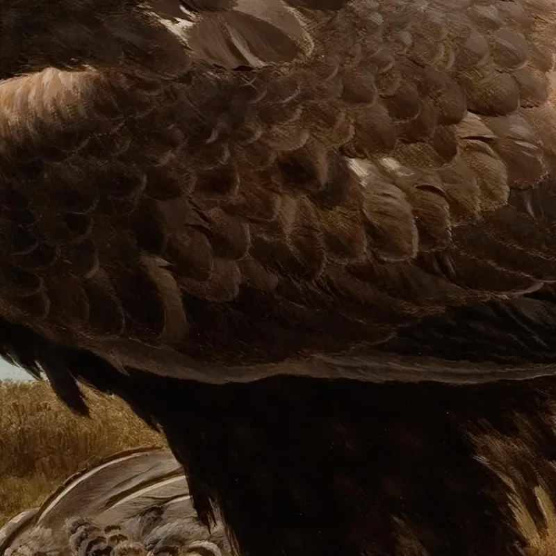 Steinadler An Einer Klippe Ferdinand von Wright