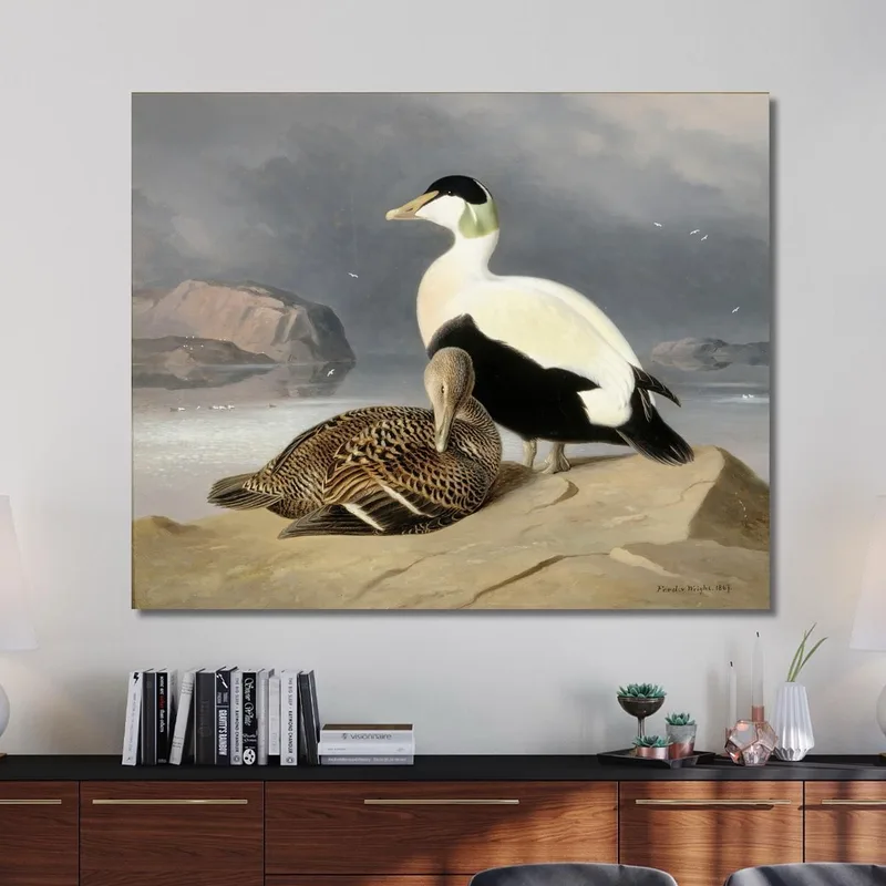 Zwei Eiderenten Ferdinand von Wright