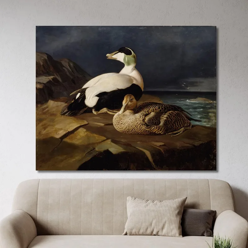 Pair Of Common Eiders On A Rock Ferdinand von Wright